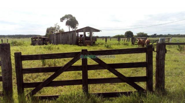 Fazenda a 4 km do frigorífico em nova marilândia - 7 km da cidade - Foto 9