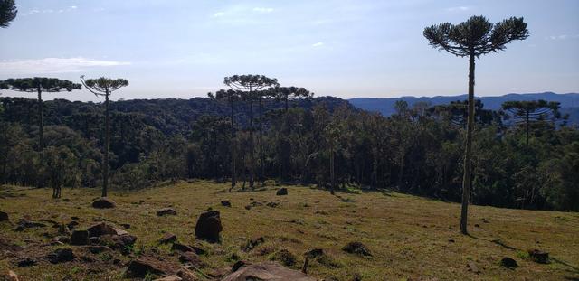Sítio em Urubici / chácara em Urubici - Foto 4