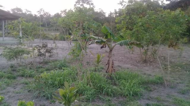 Sitio Sossegado e bom de preço, terreno 5400m² - Foto 16