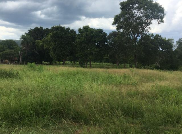 Fazenda de pecuária a venda 12 km porto nacional - Foto 2