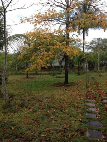 Chácara com 01 hectare em Gravatá/PE, para venda - REF.488 - Foto 17