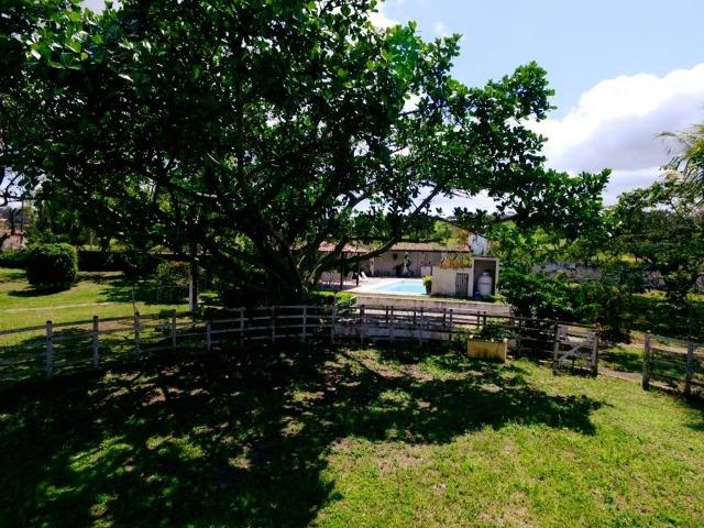 Chácara com 01 hectare em Gravatá/PE, para venda - REF.488 - Foto 4
