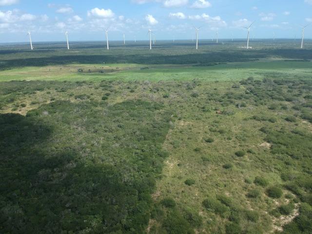 Terreno plano de 15 hectares à 4 km do centro - Foto 10
