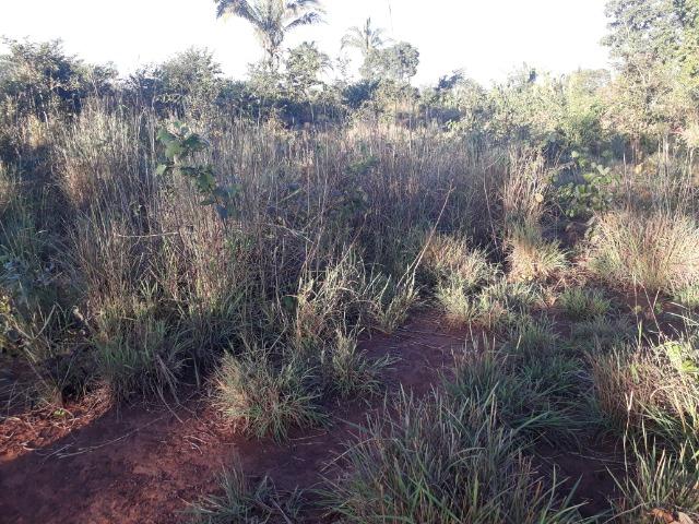 Sitio em Acorizal com 38.2 hectares - Foto 18