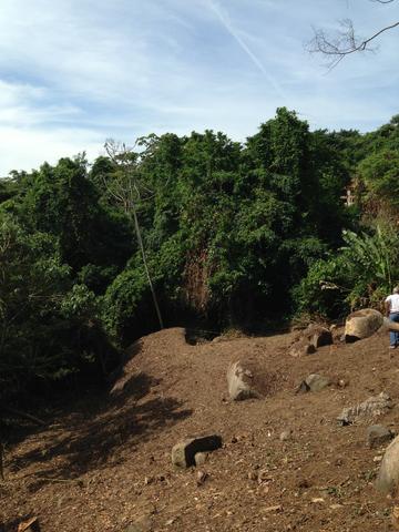 Lindo terreno ponta da sela - Foto 8