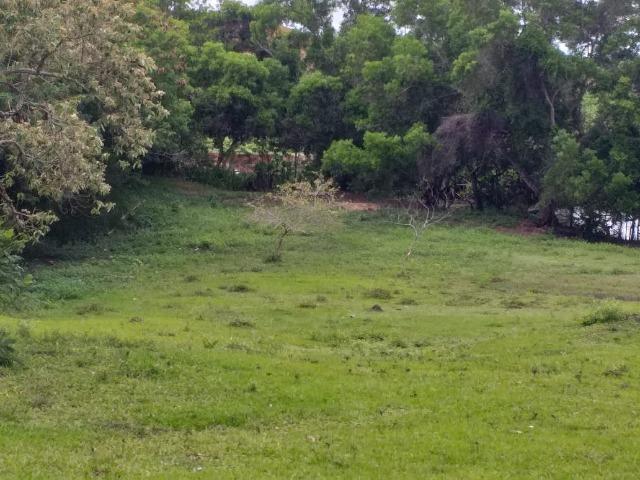Pp- mega oportunidae luxuoso terreno próximo a lagoa jacune - Foto 5