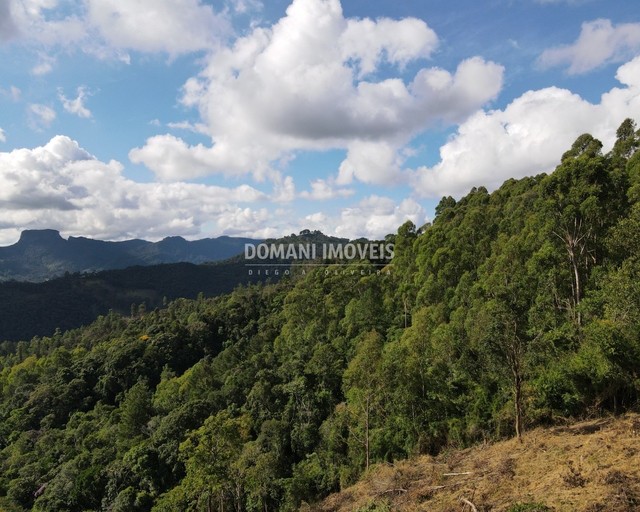 Ampla Área de Terreno à Venda na Região do Alpes de Campos do Jordão - Campos do Jordão/SP - Foto 12