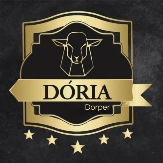 Venda de Borrega / Cordeiro - Foto 3