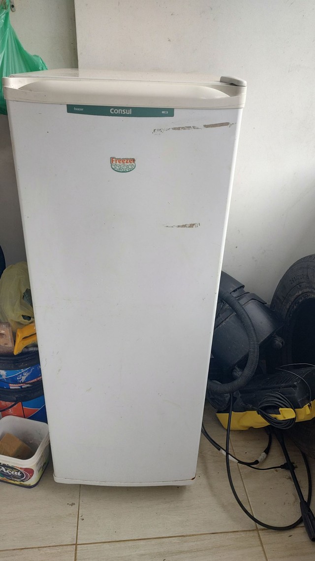 Freezer vertical frost free +303 anúncios na OLX Brasil