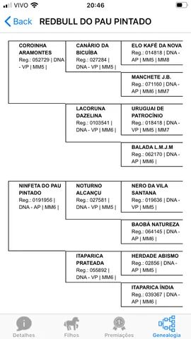 REGISTRADO MARCHA PICADA 