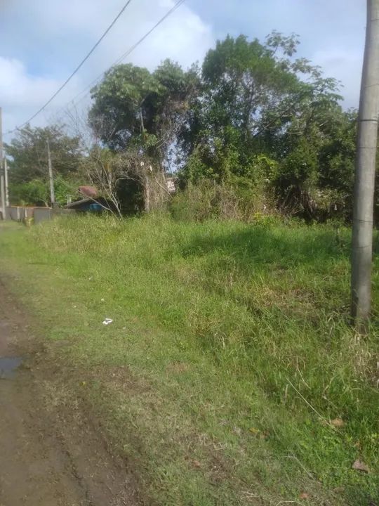 Terreno na Ilha Comprida - Foto 3