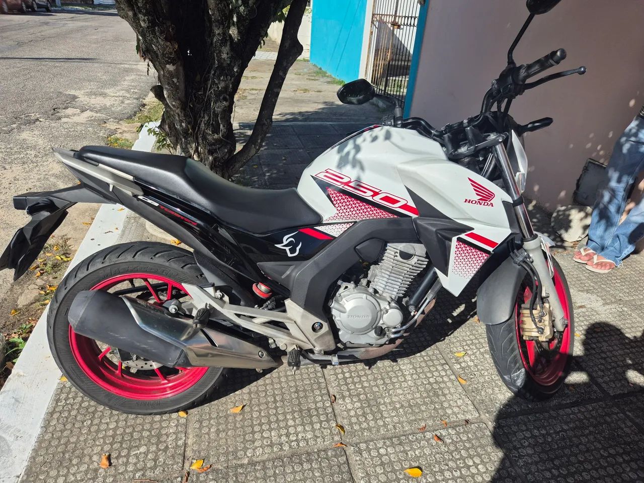 Cb twister 250 2022 
