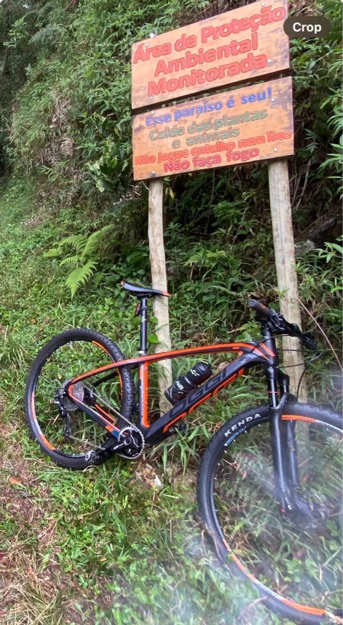 Bicicleta Oggi agile pro - carbon  - Foto 2
