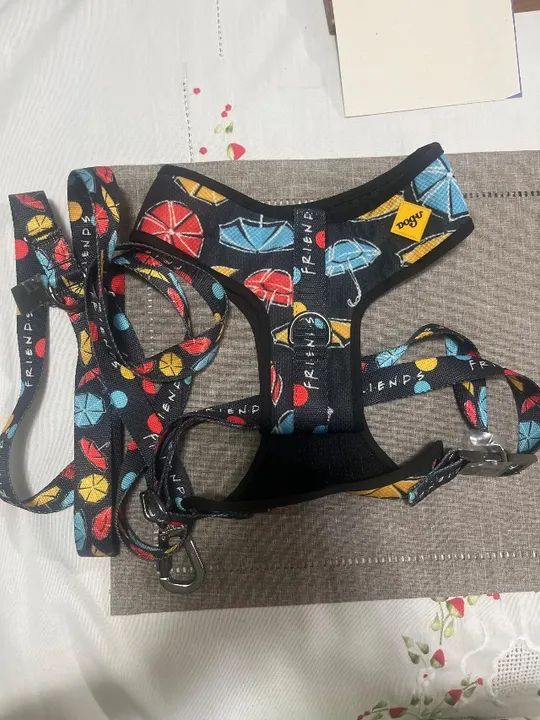 Coleira muito nova tamanho G  - Foto 2