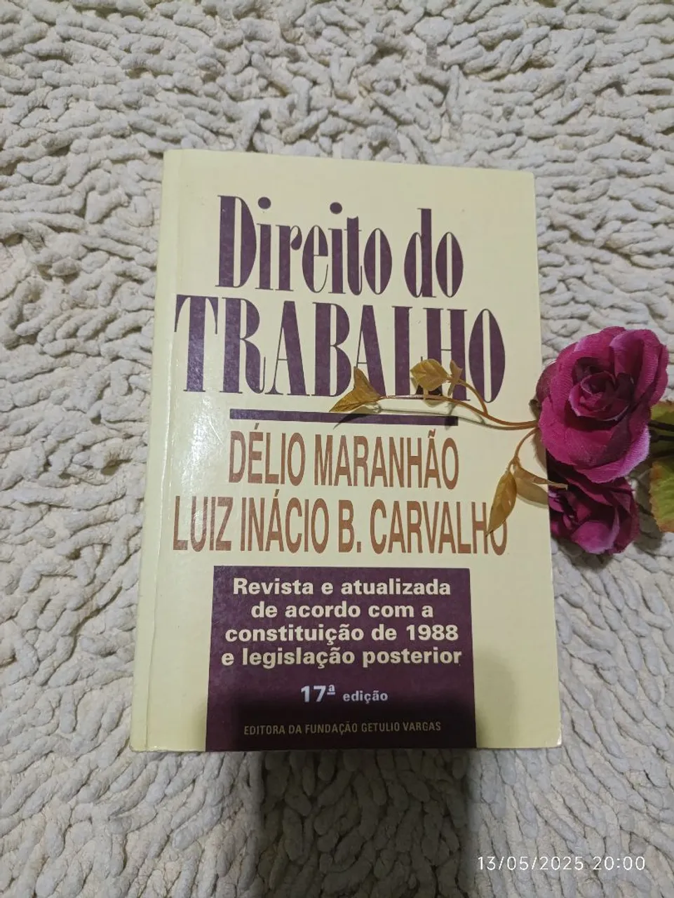 Livro - Direito do Trabalho - Délio Maranhão e Luiz Inácio B. Carvalho - 17ª edição
