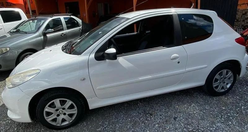 207 completo 