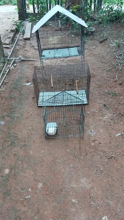Gaiola para pássaros - Foto 2