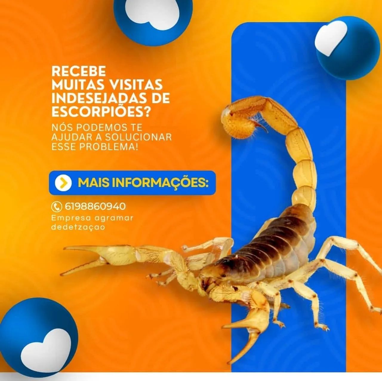 Dedetização de Escorpiões - Proteja sua família!