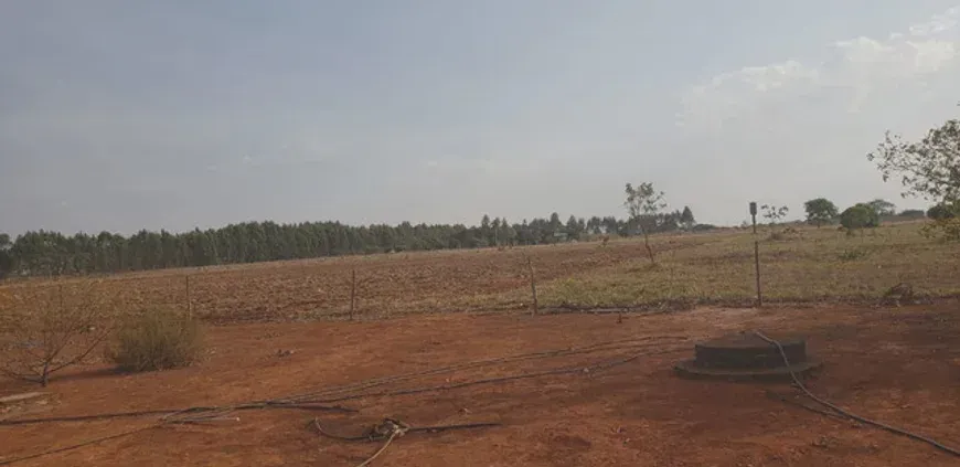 Terreno para venda com 20000 Caub em Riacho Fundo II - Brasília - DF