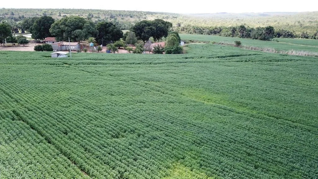 FAZENDA PRODUTIVA 1.548 HECTARES