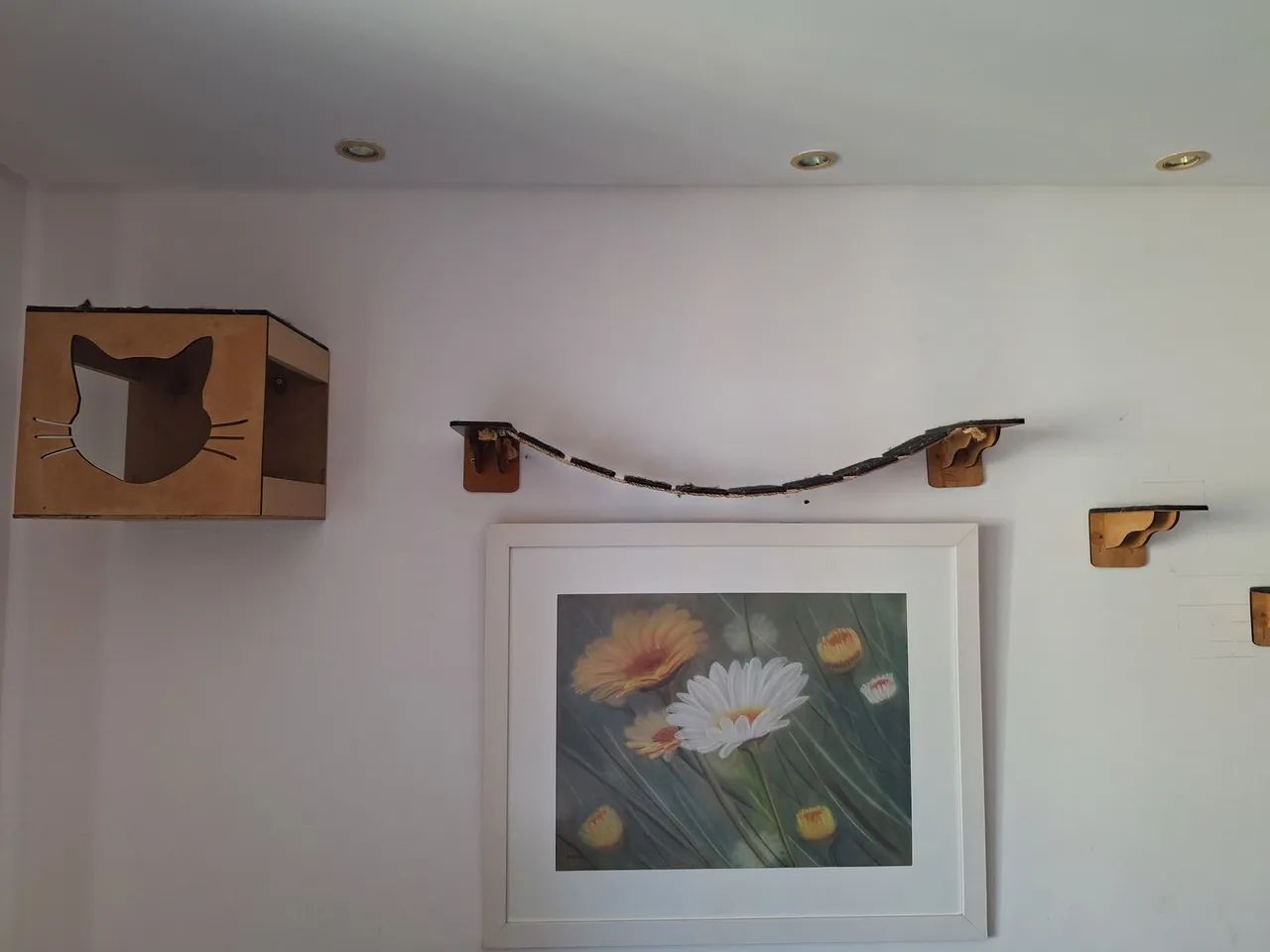 Playground Gatinhos - Foto 3