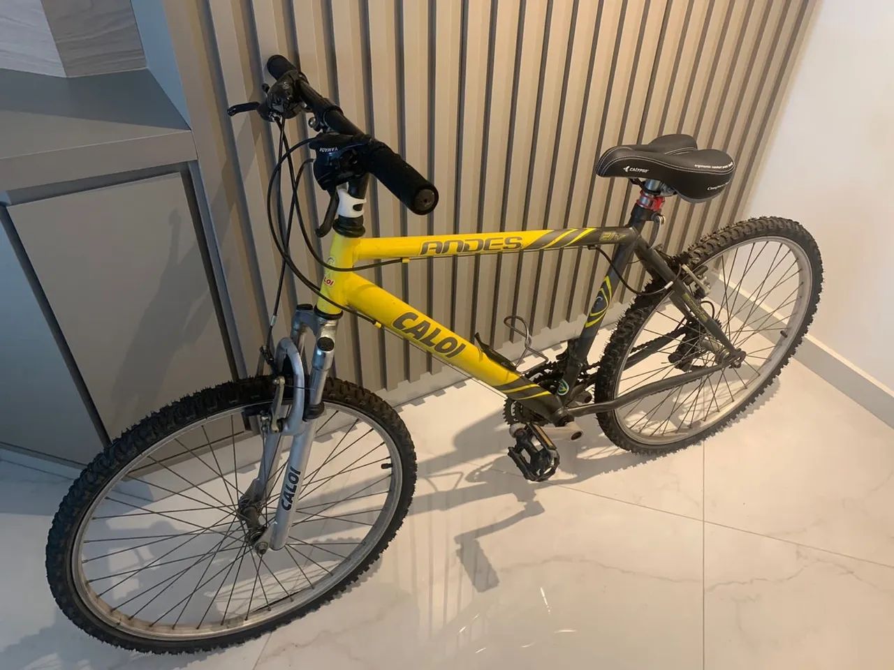 Bicicleta Caloi Andes Aro 26 com 6 marchas