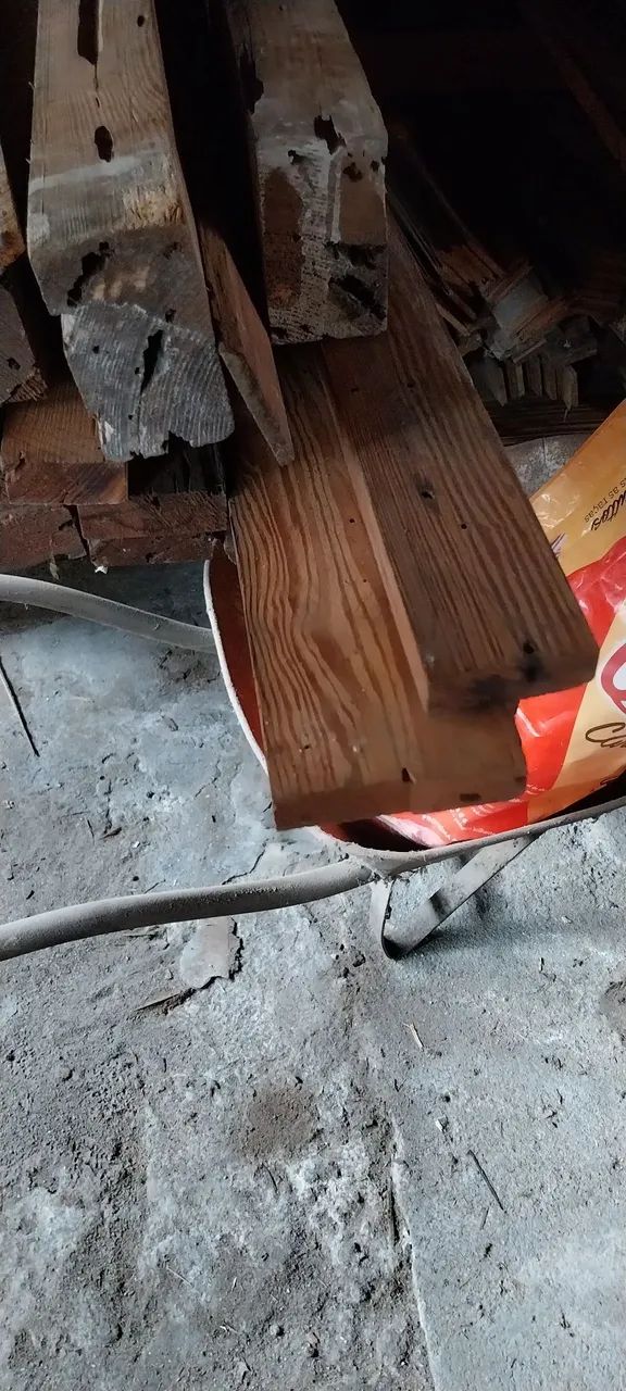 Lote de pedaços de PINHO DE RIGA - Foto 2