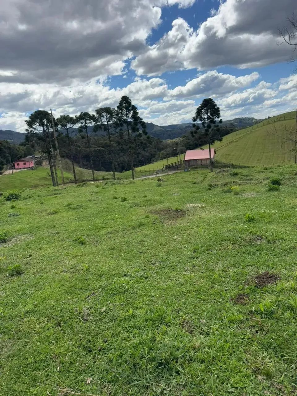 Sítio à Venda em Rancho Queimado  SC  Com riacho dentro da propriedade! - Foto 3