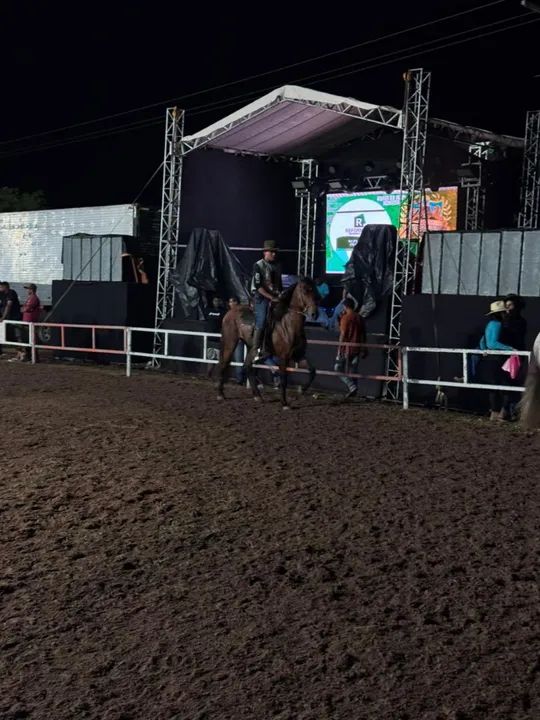 Castradinho de pista dos sonhos! - Foto 2