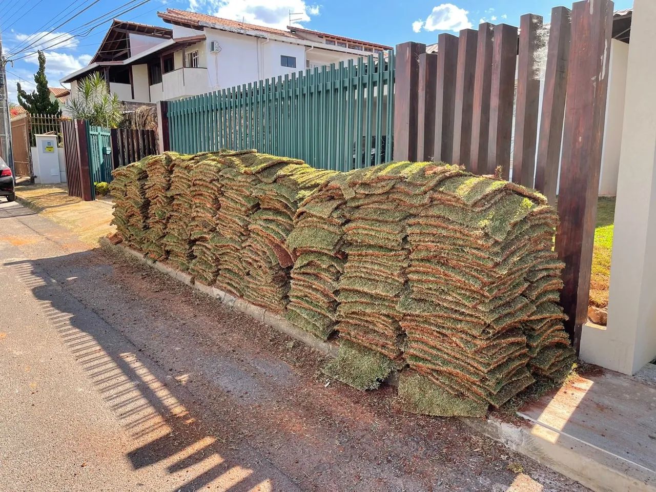 Grama Esmeralda Imperial Brasília  - Foto 5