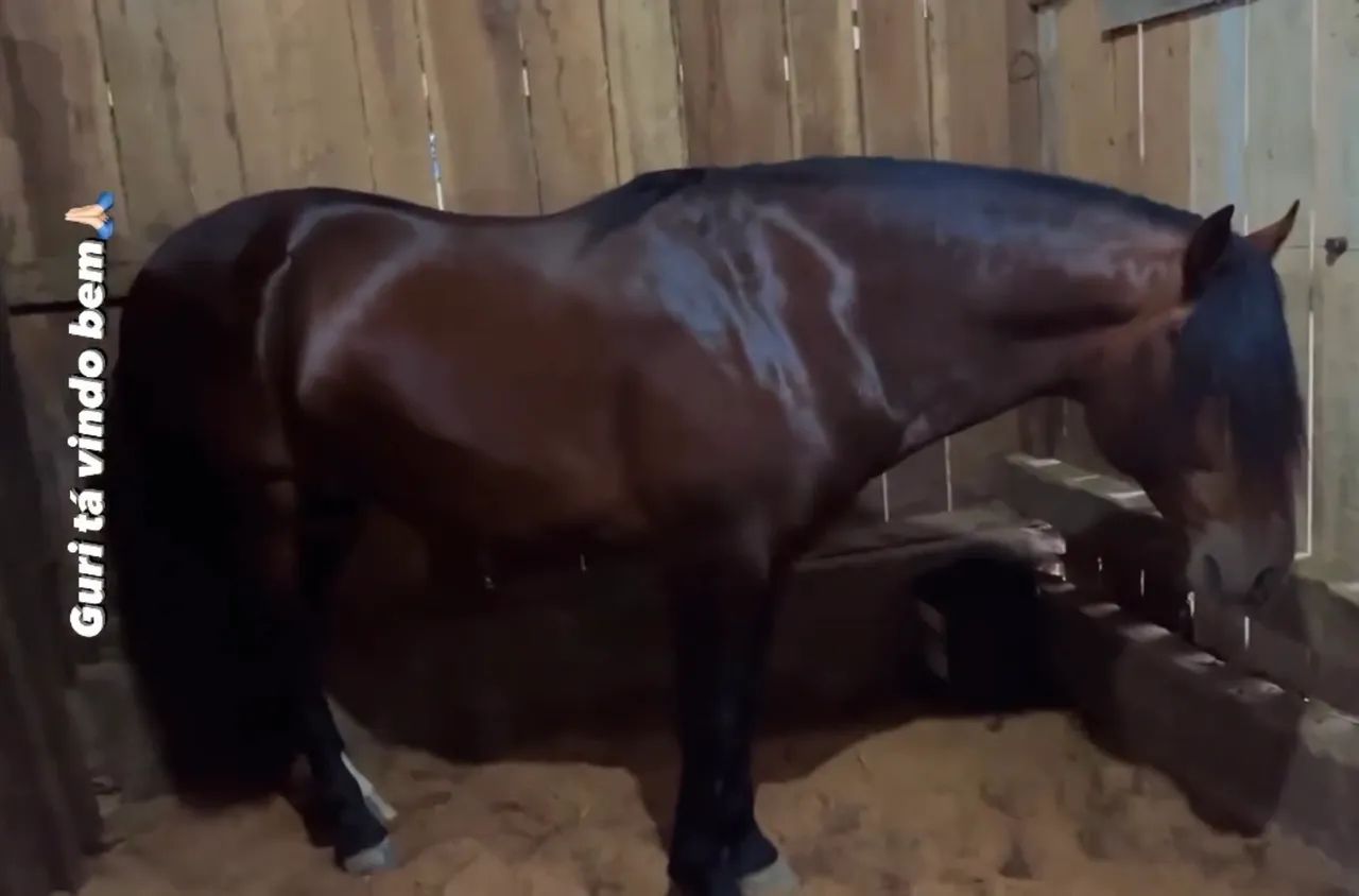 Bagual confirmado! - Foto 3