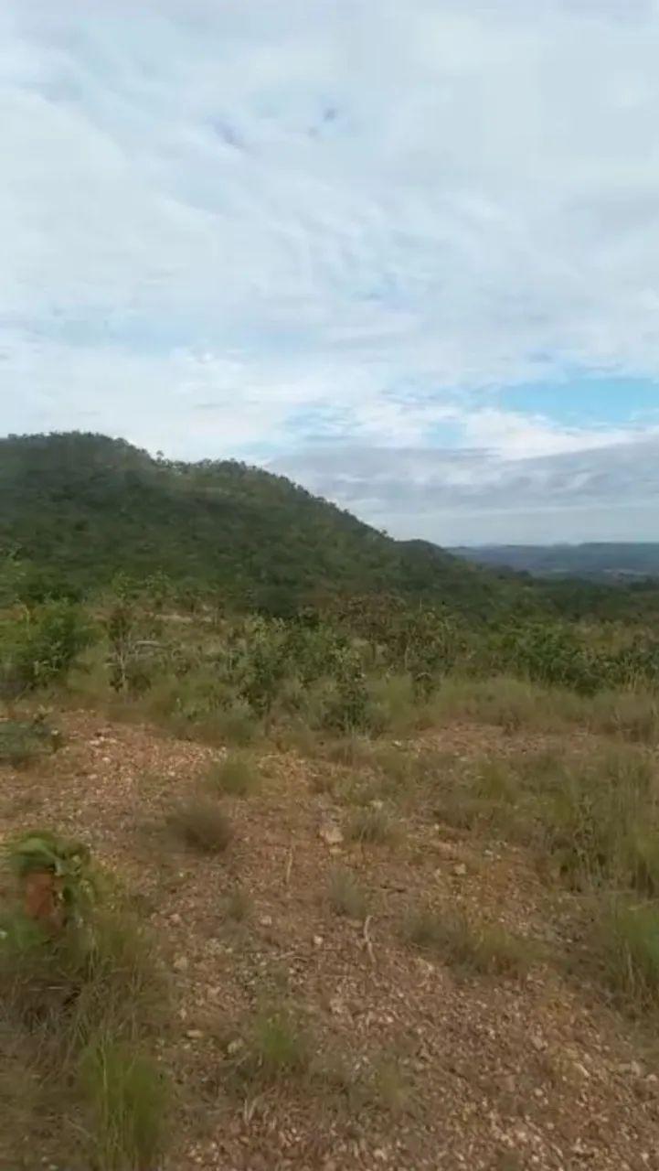 Vendo 10 alqueires  na região do morro agudo de Goiás, 180km de Goiânia!!  - Foto 5