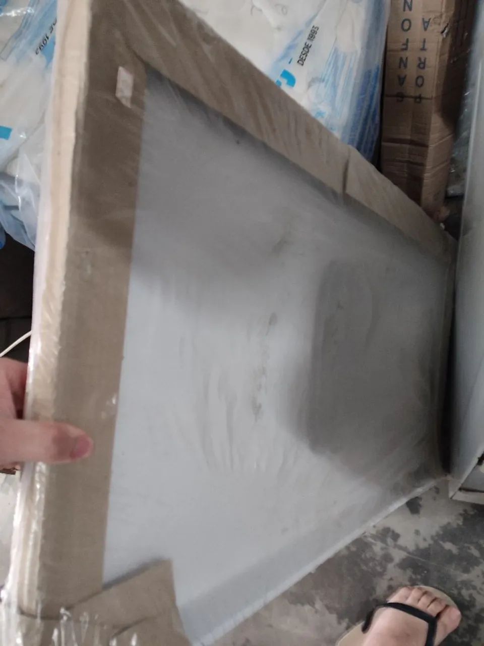 Pia nova64840843372547120