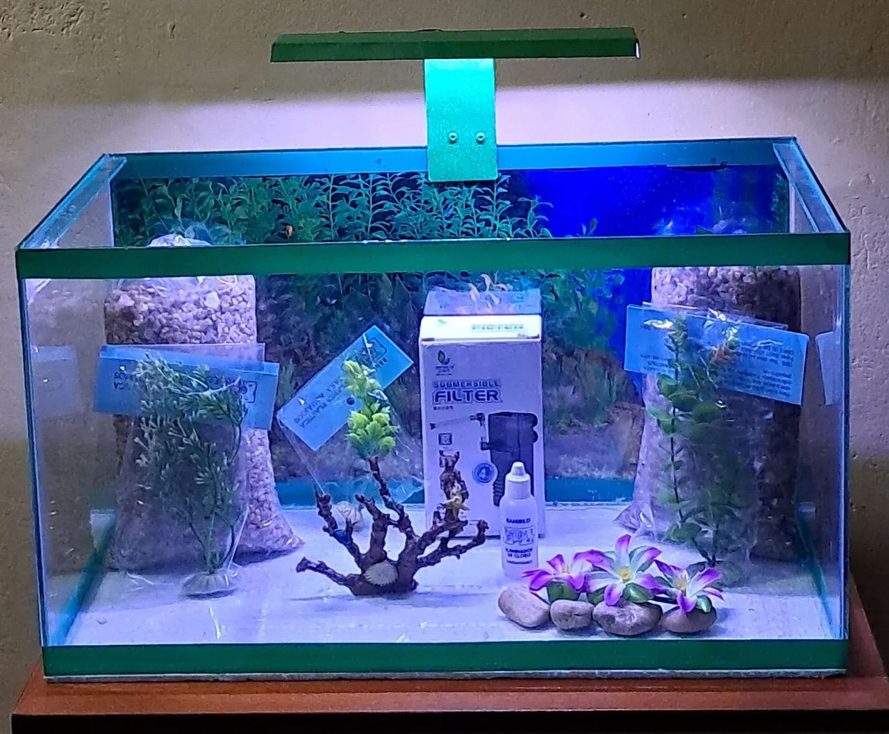 Aquário completo 50x25x28 35 litros 