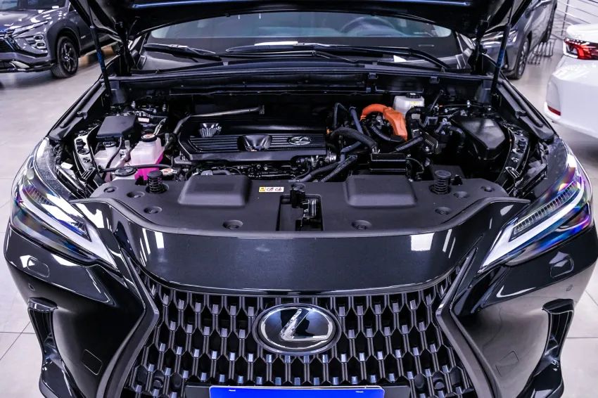 Lexus NX-350h Luxury 2.5 16V Aut. (hybrid), foto 6 de 19