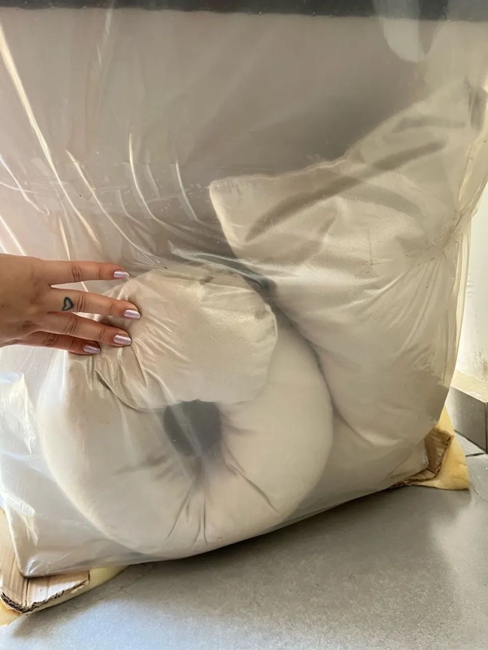 Maca Luxo - Foto 3
