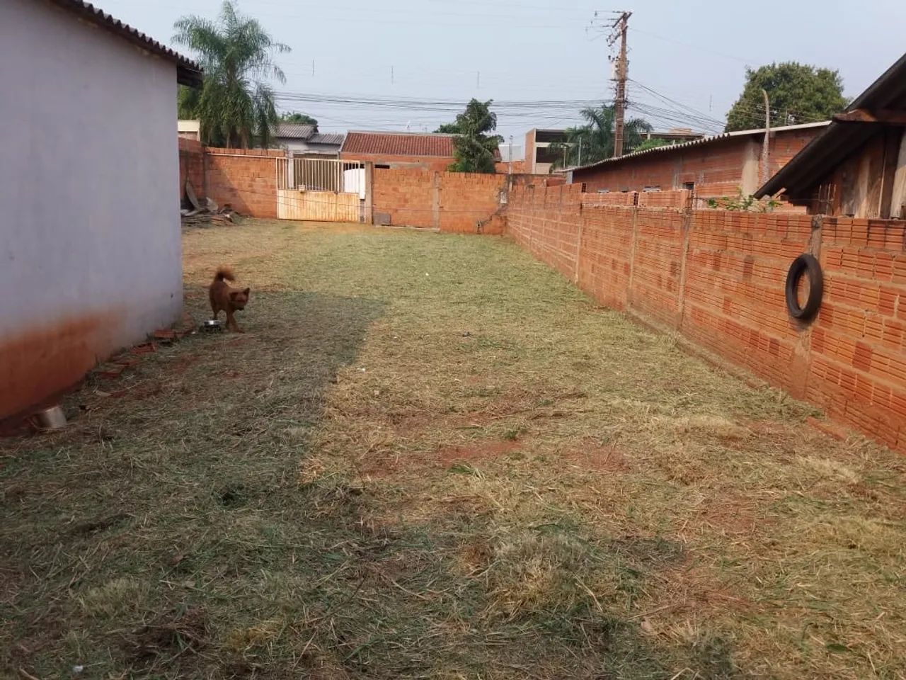 Foto - Campo Grande - Universitário