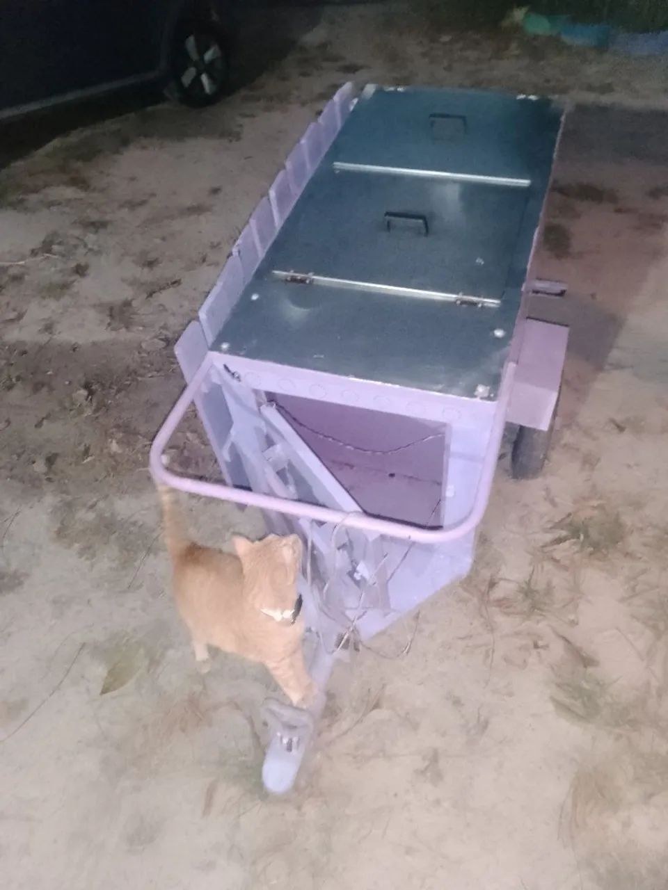 Carrinho  de gelados  - Foto 2