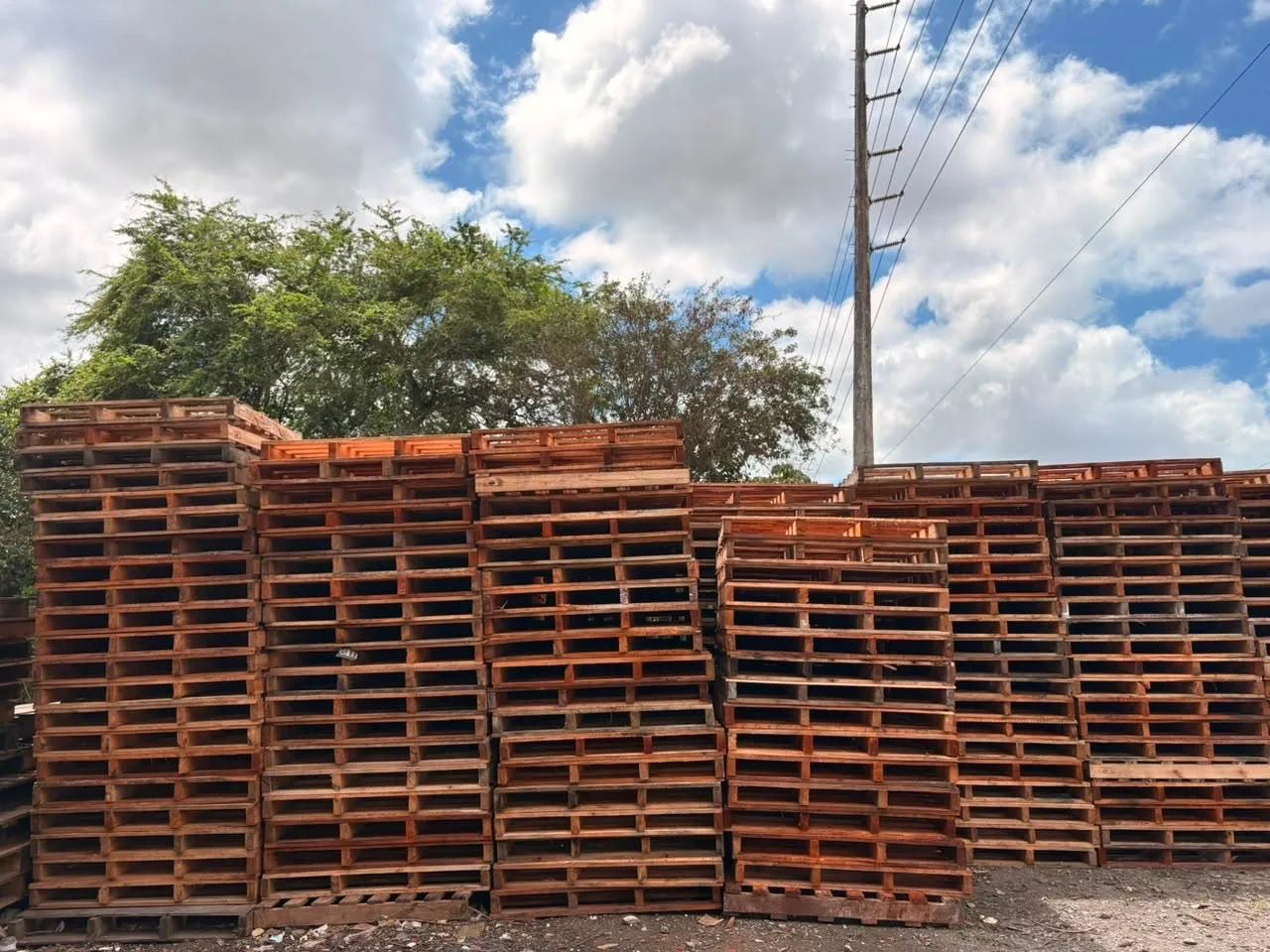 Palletes de qualidade!