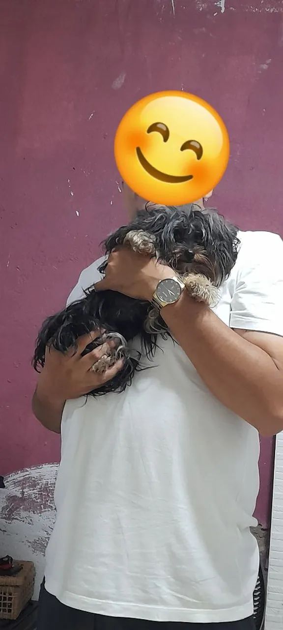 Vende-se - Foto 3