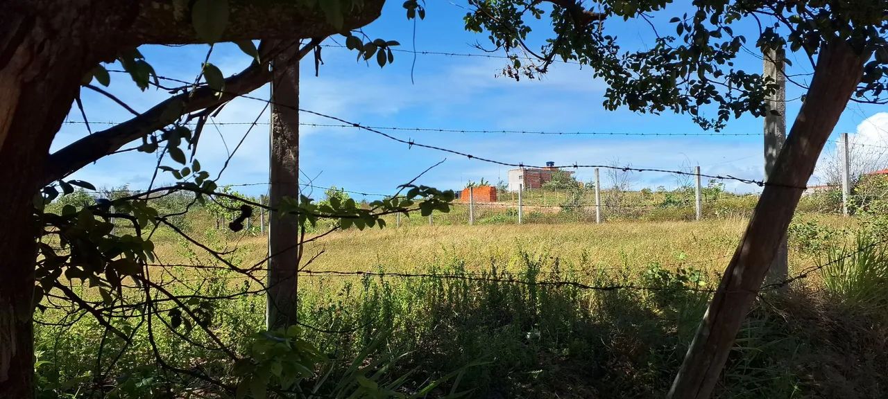 Foto - Salvador - Tancredo Neves
