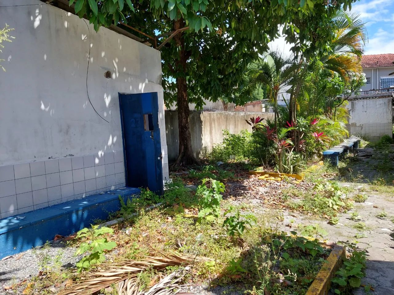 Alugo terreno  R. Dom Bosco com AV. Agamenon Magalhães com 1.870m²m2 - Foto 7