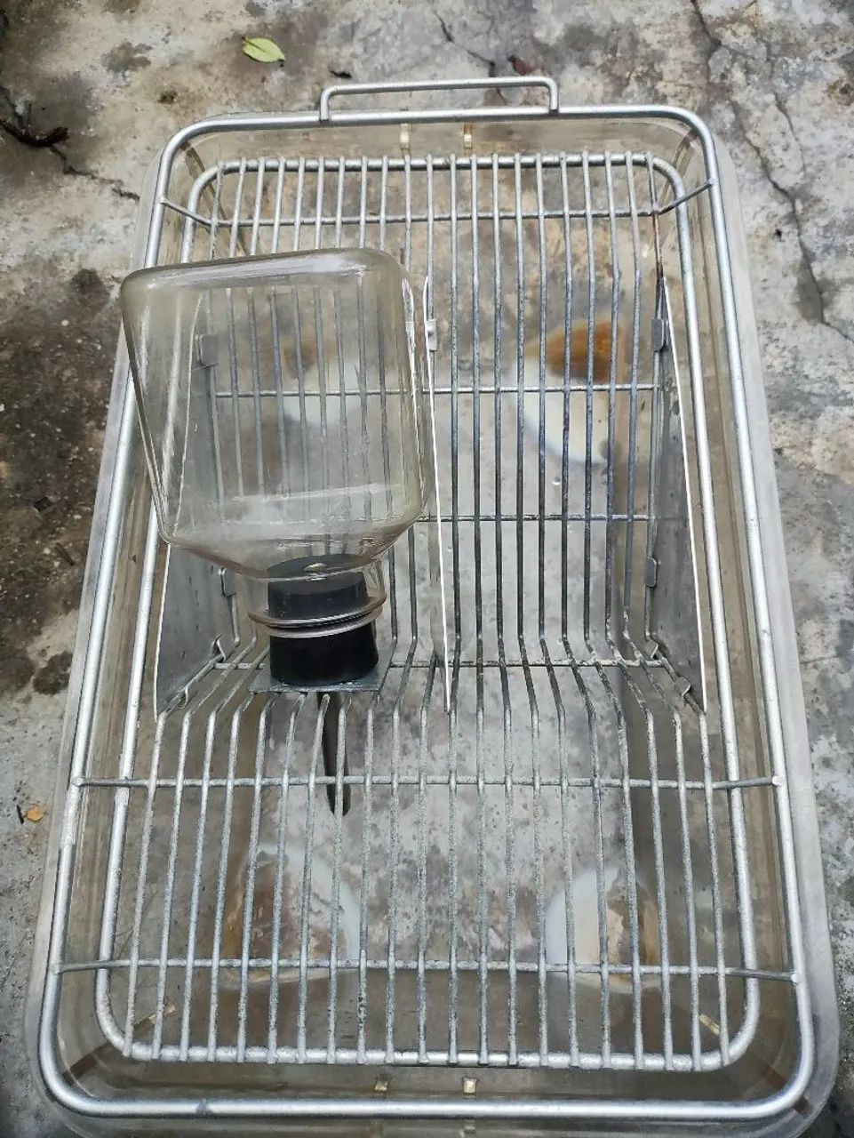 Caixa de biotério para criação de camundongos 