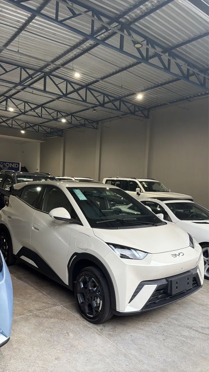 BYD Dolphin Mini (Elétrico) 2027 - Foto 2