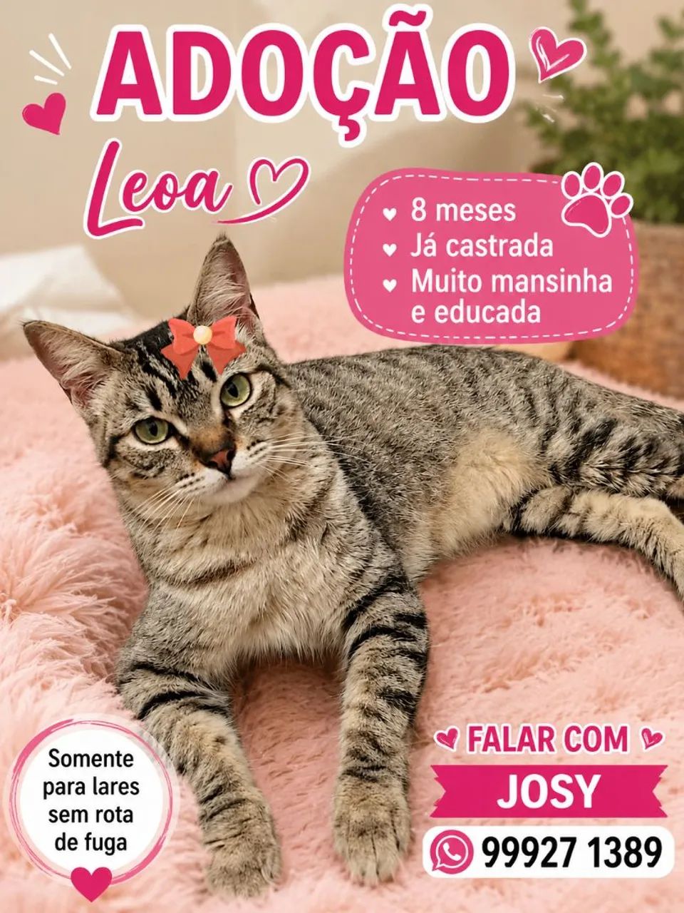 3 FOFURAS