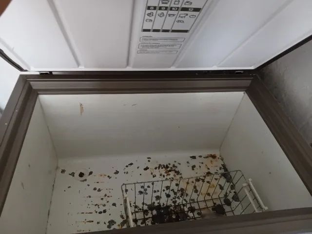 FREEZER 330L 127V FUNCIONANDO  PERFEITAMENTE  - Foto 3