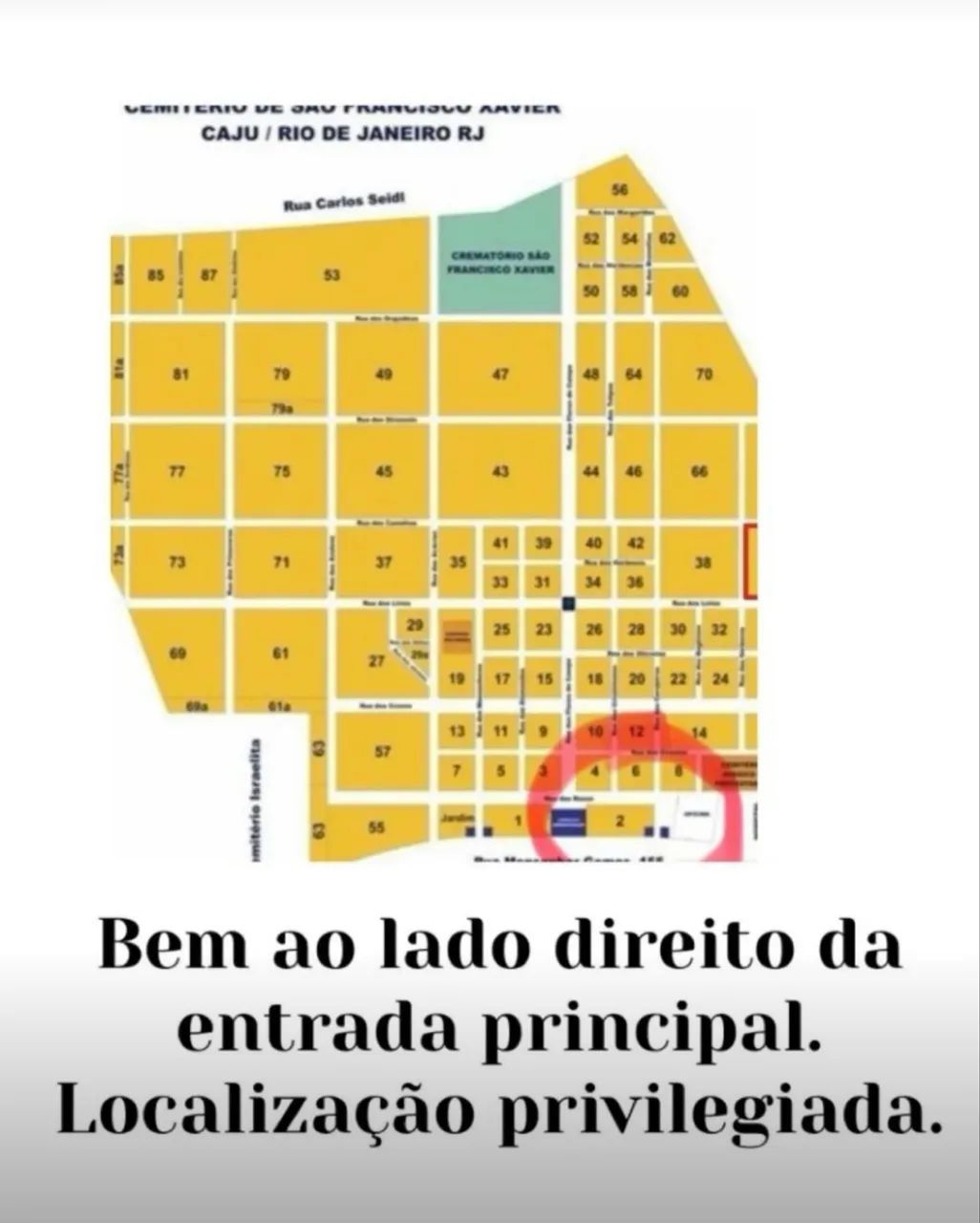 JAZIGO PERPÉTUO - CAJU OPORTUNIDADE BARATO - Foto 6