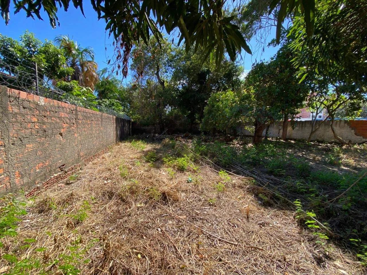 Terreno Para Aluguel - Foto 5