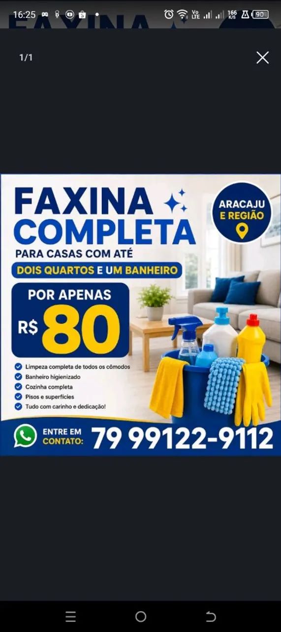 Faxina