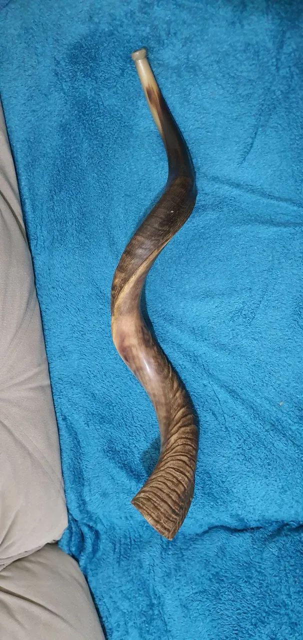 Shofar 